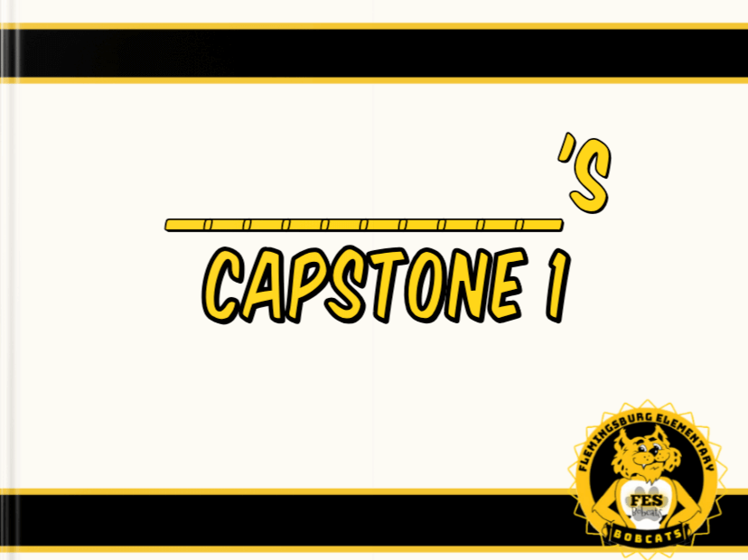 Capstone 1